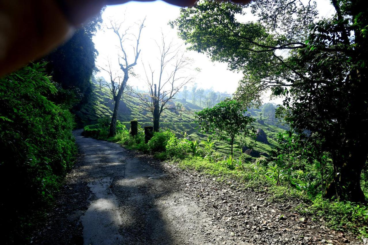 Green Magic Home Munnar Dış mekan fotoğraf