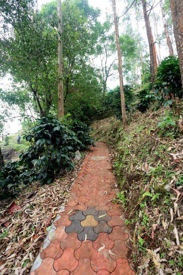 Green Magic Home Munnar Dış mekan fotoğraf