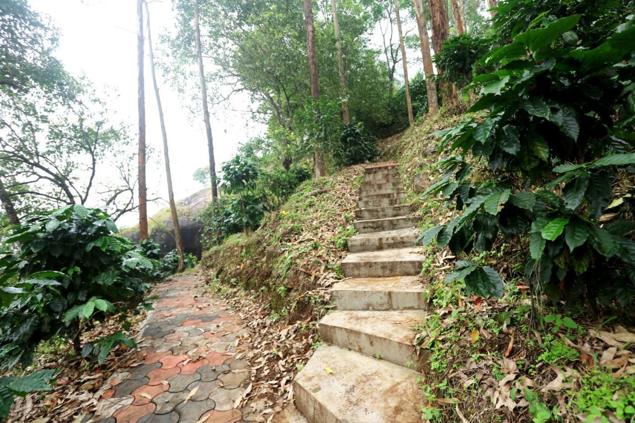 Green Magic Home Munnar Dış mekan fotoğraf