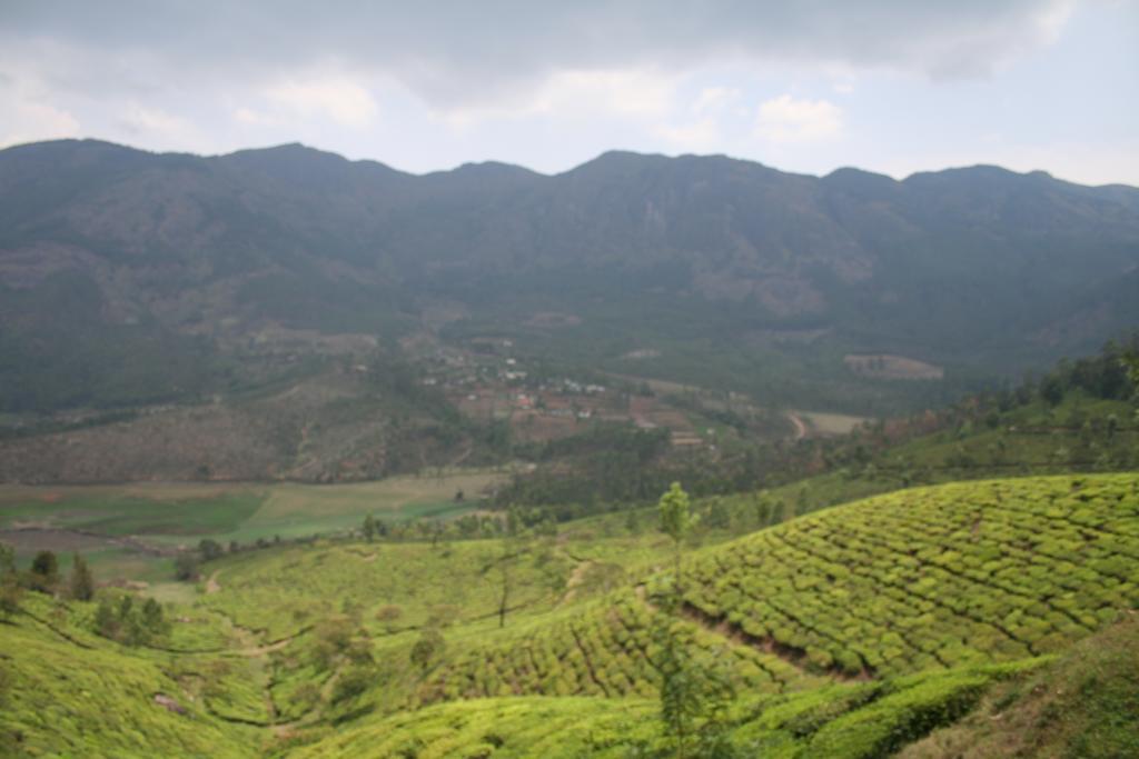 Green Magic Home Munnar Dış mekan fotoğraf