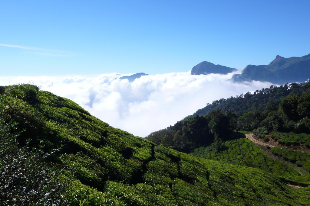 Green Magic Home Munnar Dış mekan fotoğraf