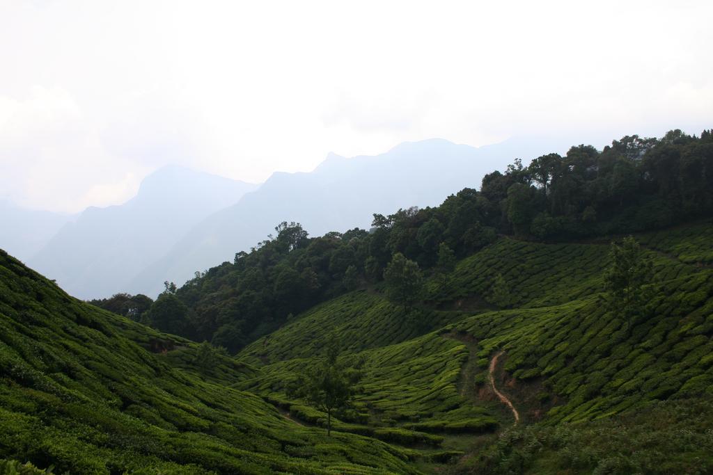 Green Magic Home Munnar Dış mekan fotoğraf